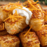 The Ultimate Guide to Making Tater Tots in Your Air Fryer